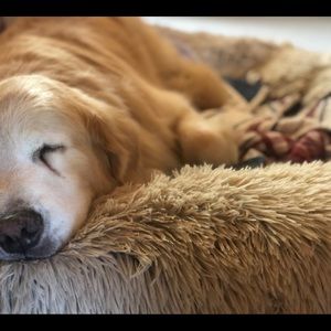 Meet your Posher, Jackson